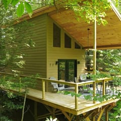 Squirrel Kit-TreeTop Cottage