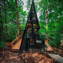 Wolf Pup- A Frame- TreeTop Tiny Cottage Wi-Fi