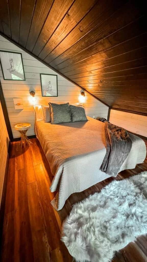 Turtle Hatch-TreeTop Cottage